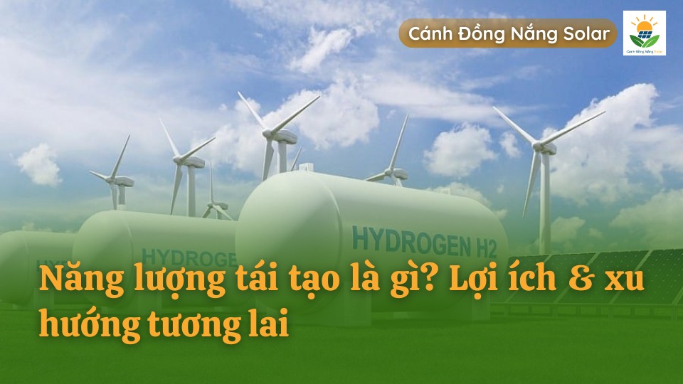 Năng lượng tái tạo là gì, lợi ích và xu hướng tương lai