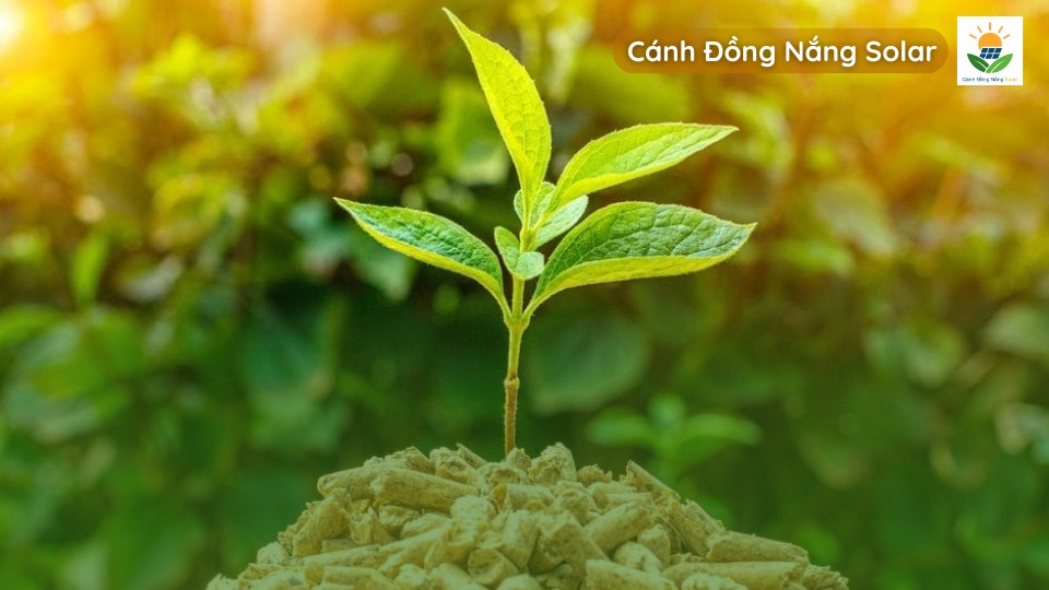 Xu hướng mới của năng lượng tái tạo trong tương lai